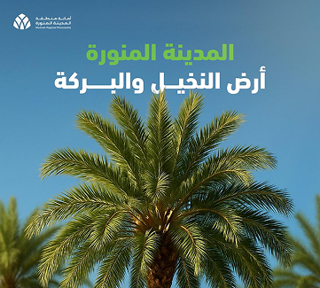 منطقة الغداء - تجربة تراثية حول النخلة والتمور