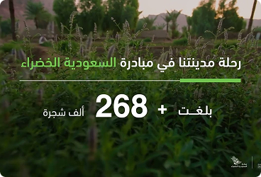 مزارع النخيل