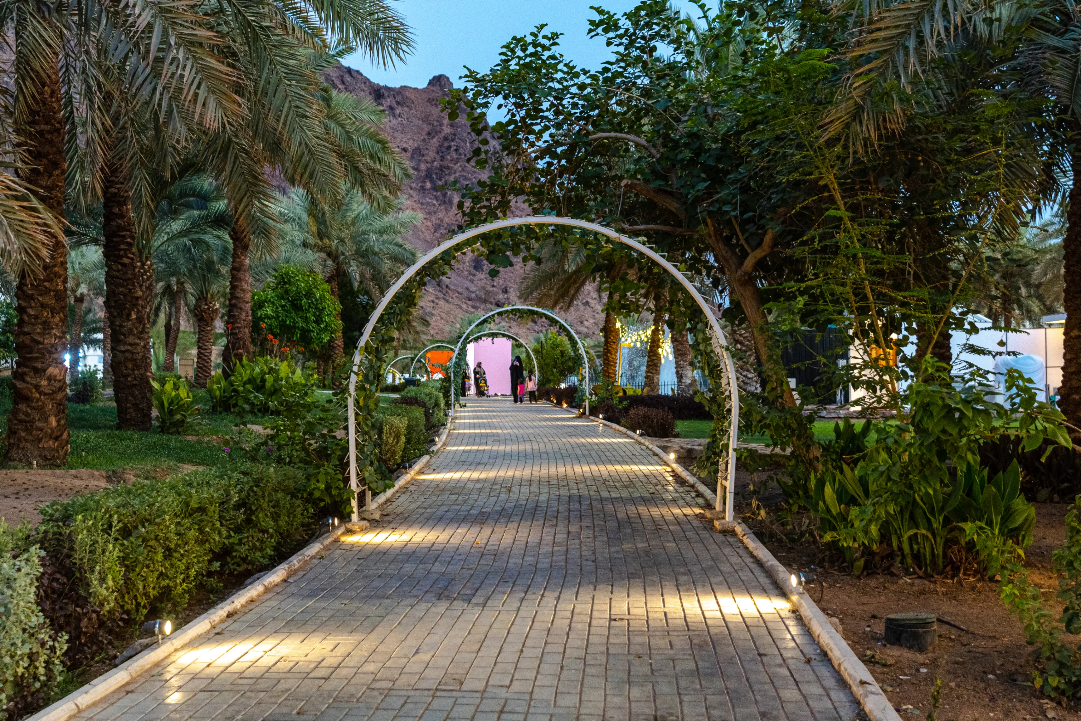  حديقة الأمير محمد بن عبد العزيز