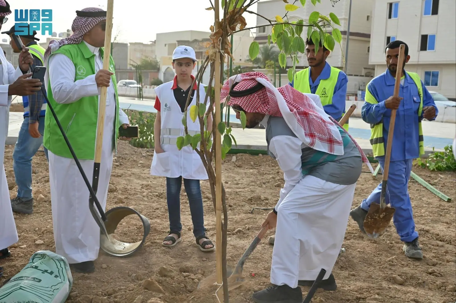 أمانة المدينة المنورة تنفذ مبادرة للزراعة داخل نطاق مشروع "مسارات شوران" احتفاءً بـ"مبادرة السعودية الخضراء"